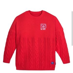 Walt Disney World Spirit Jersey sweater size medium